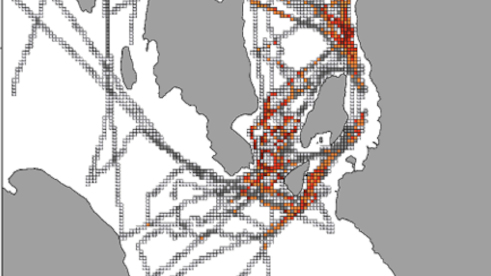 a graphic showing porpoise hotspots around Cumbrae Islands