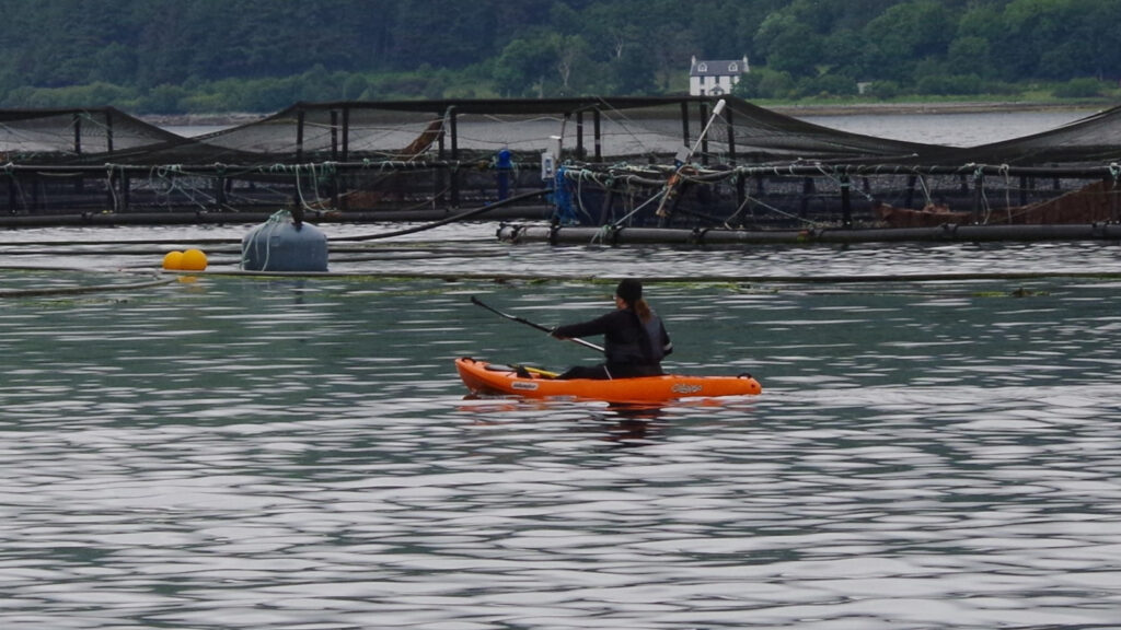 A kayaker paddling outside a fish farm